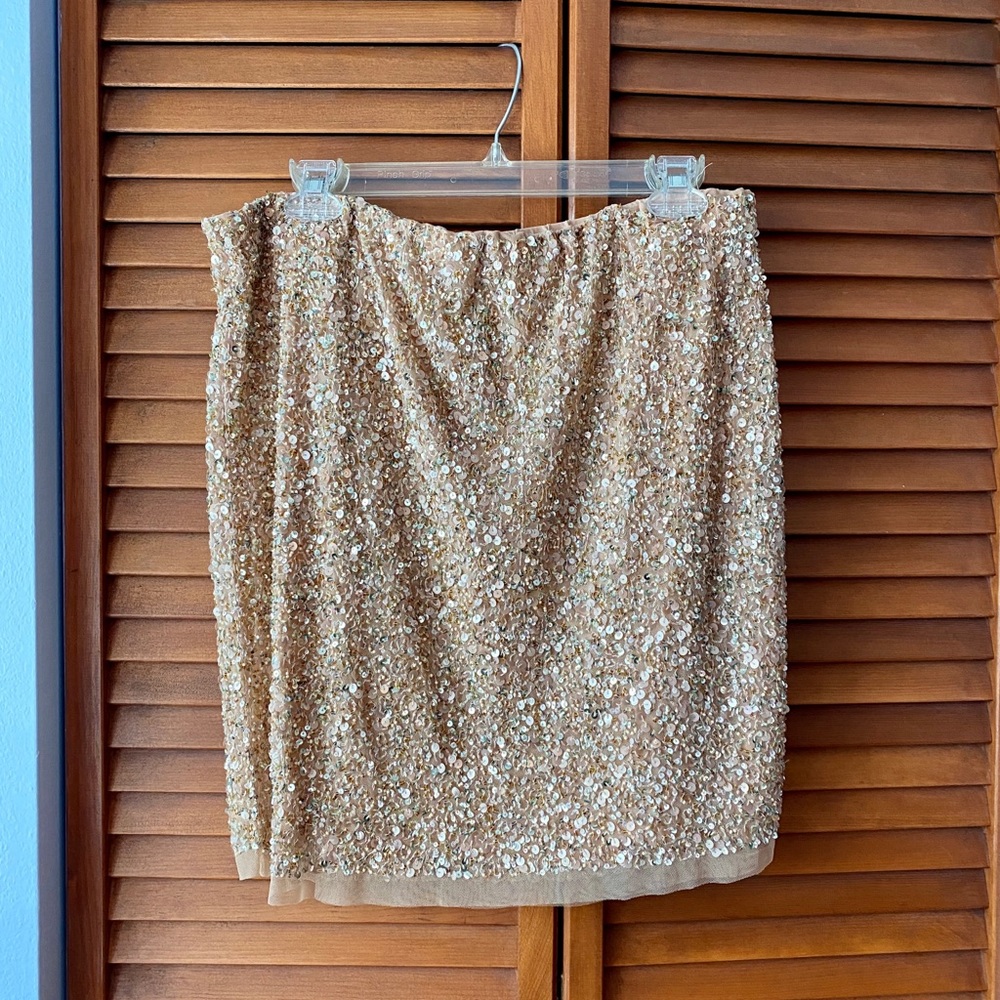 Lane Collection sequin skirt size 12